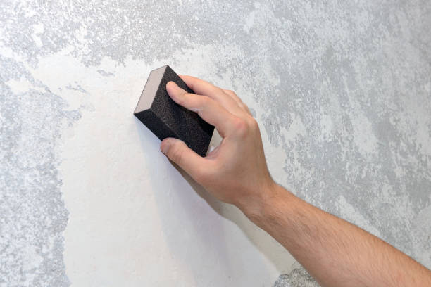 Best Mold Documentation for Insurance Claims  in Beckley, WV