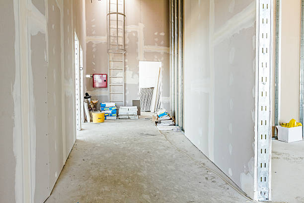 Best Mold Damage Restoration  in Beckley, WV